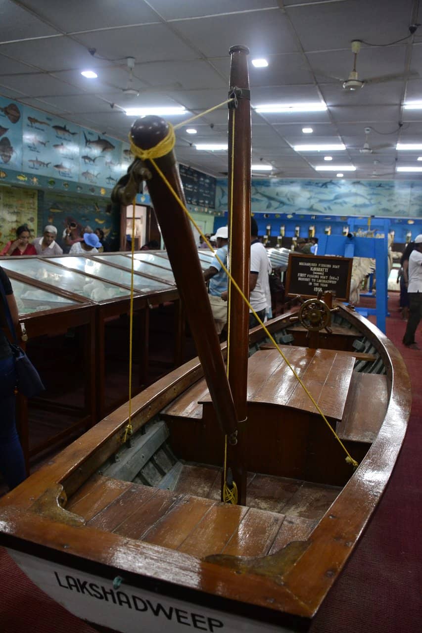 Marine Biodiversity Exhibits