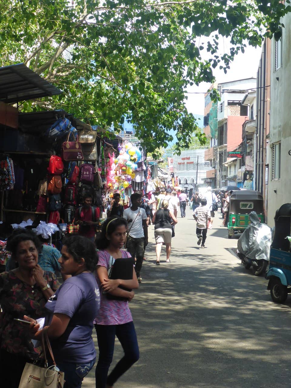 Galle Fish Market
