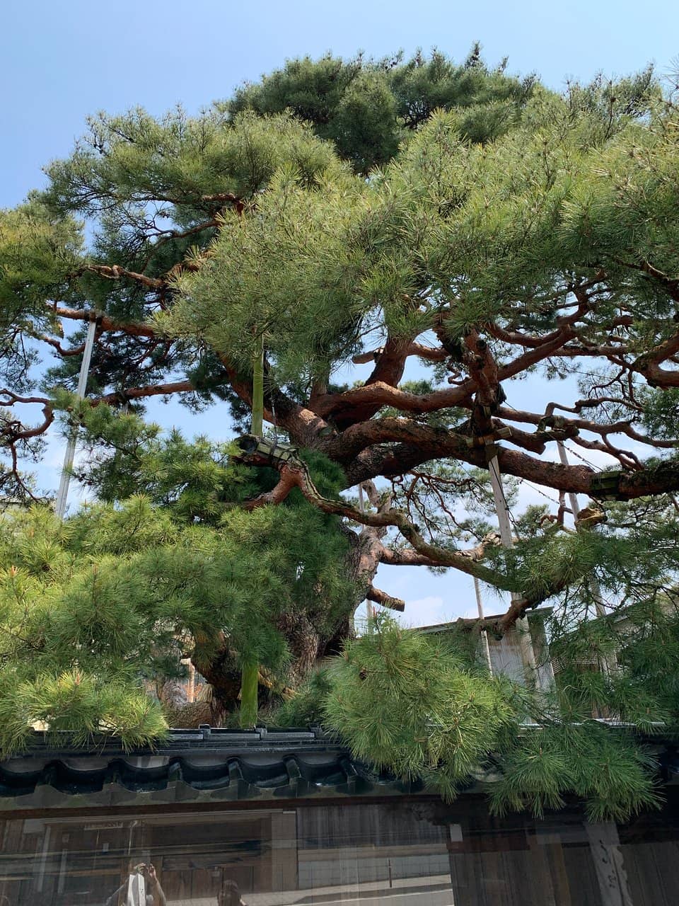 Vertical photo