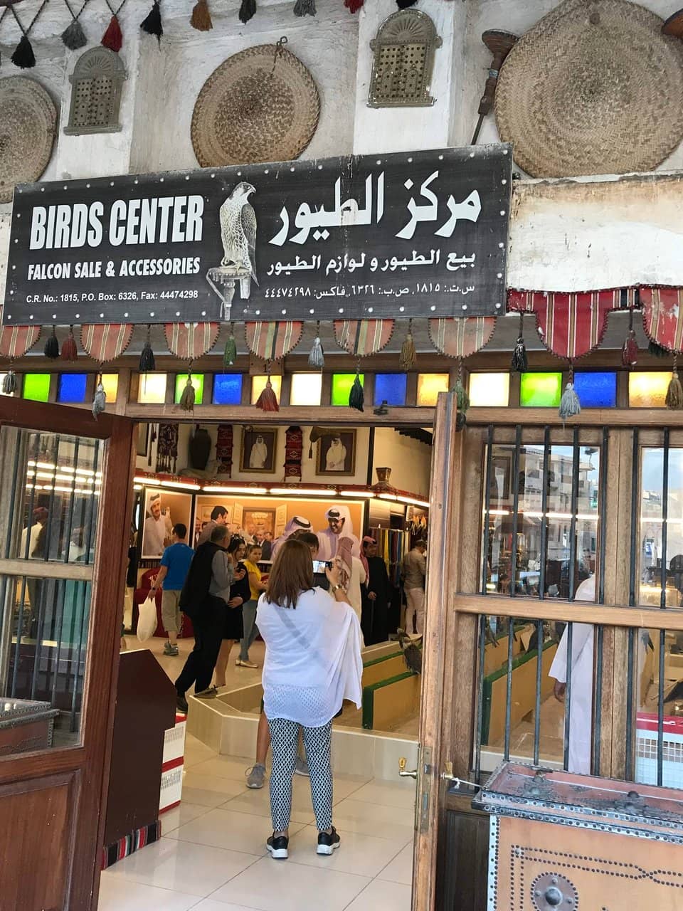 The World's Only Falcon Hospital