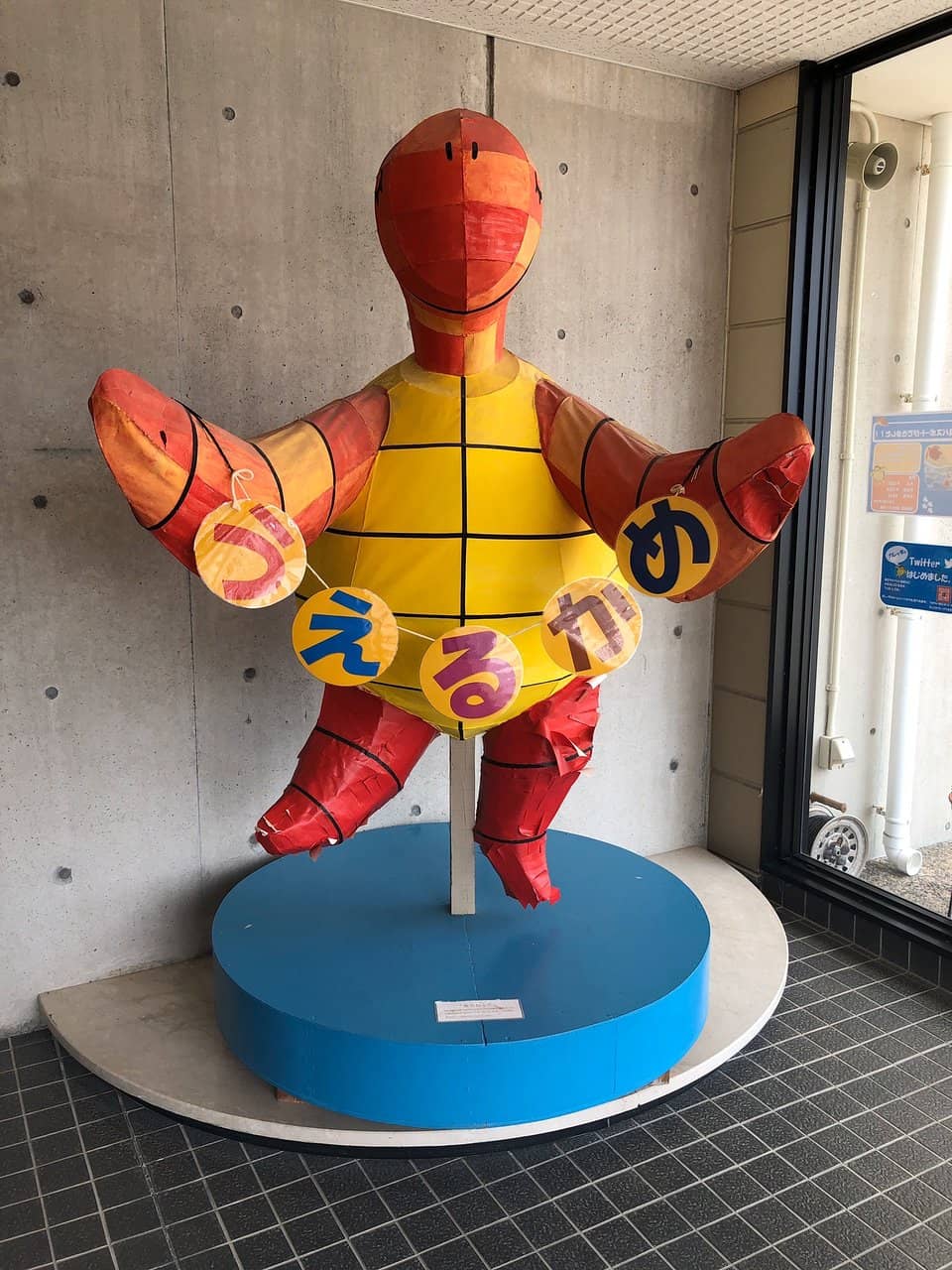 Hatchery & Video Feeds