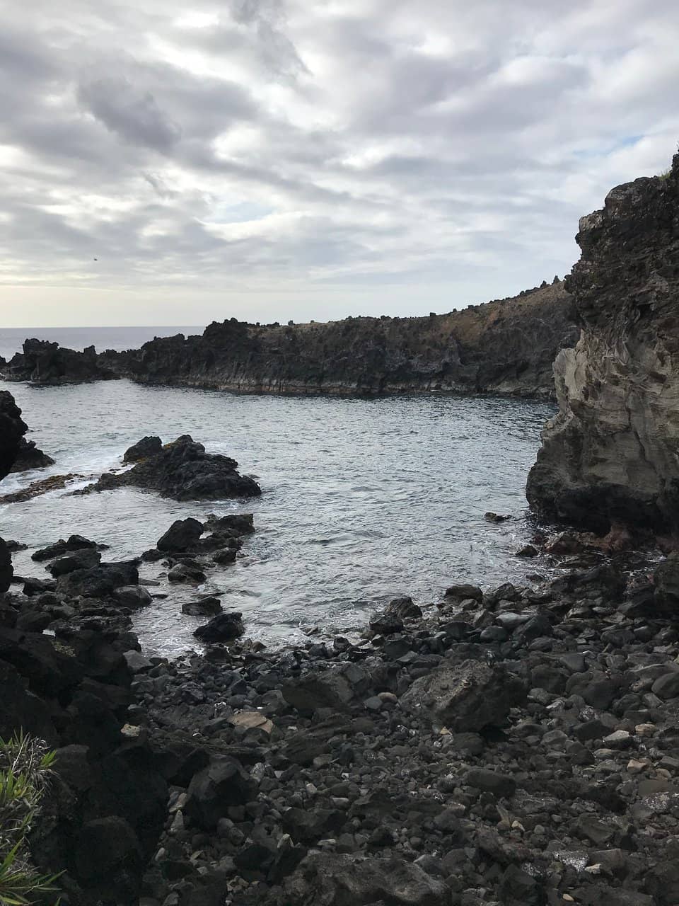 Tern Rock Art (Historical)
