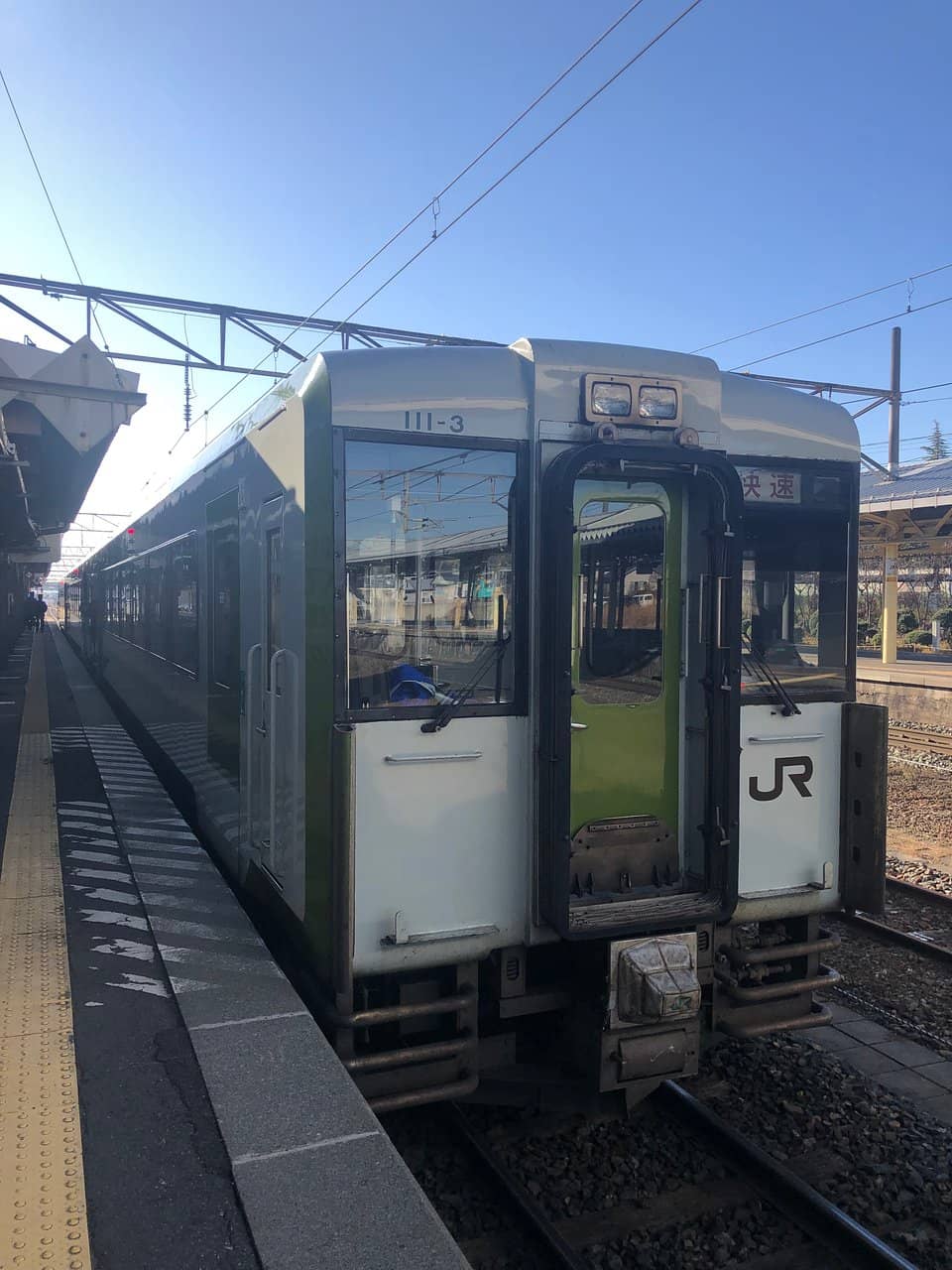 Cherry Blossom Spectacle