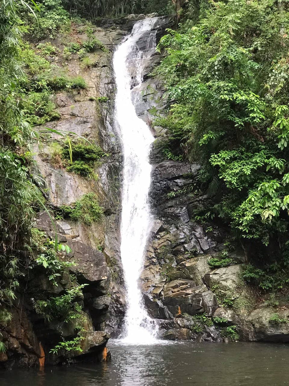 Natural Swimming Pool