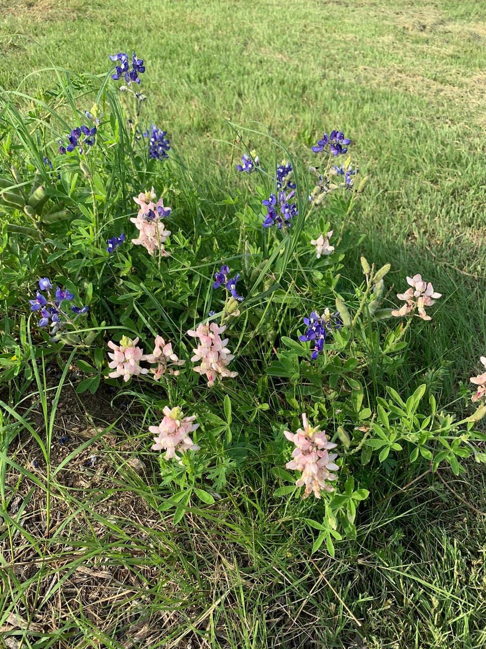 Peaceful Reflection Spots