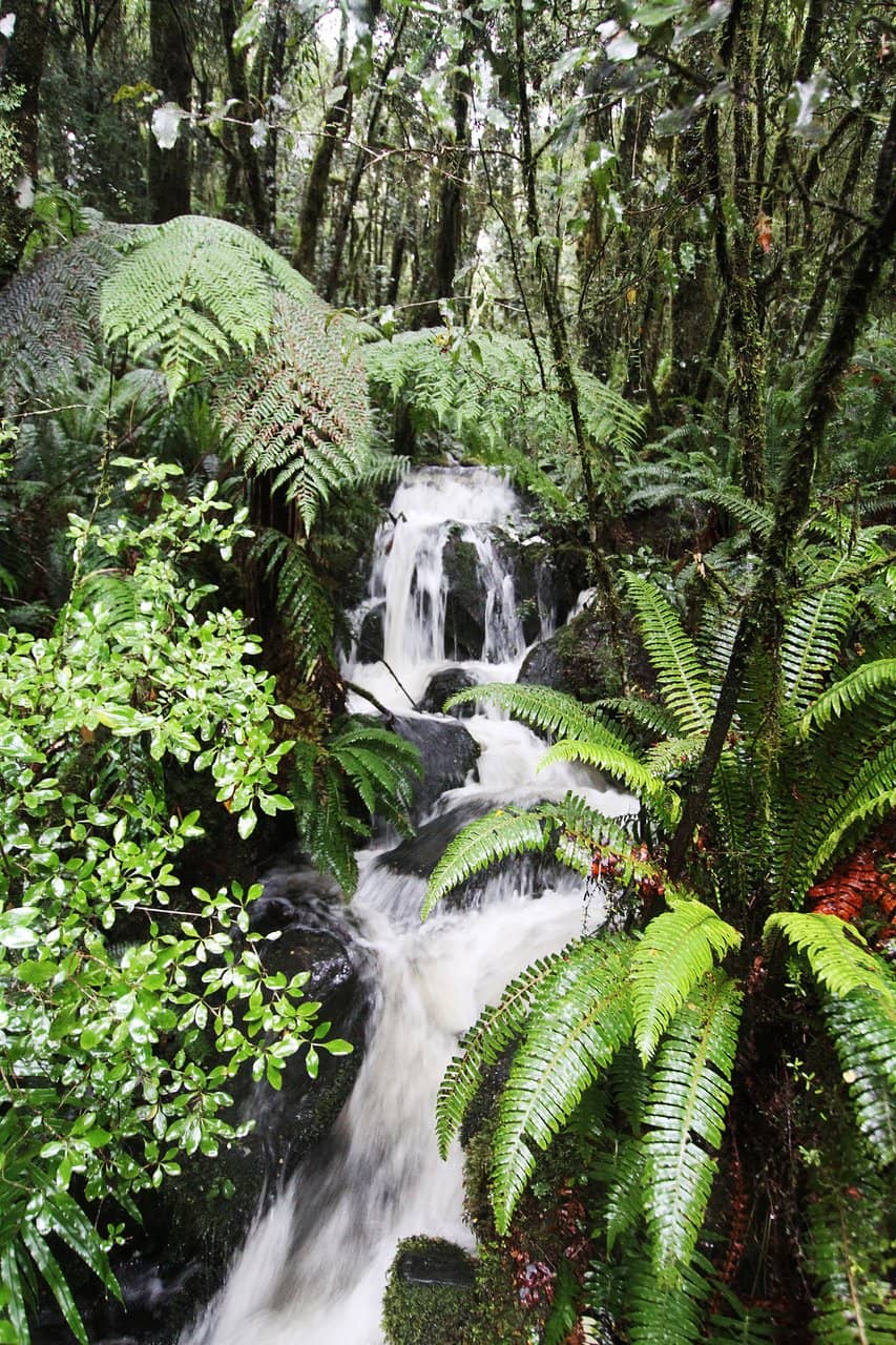 Sutherland Falls
