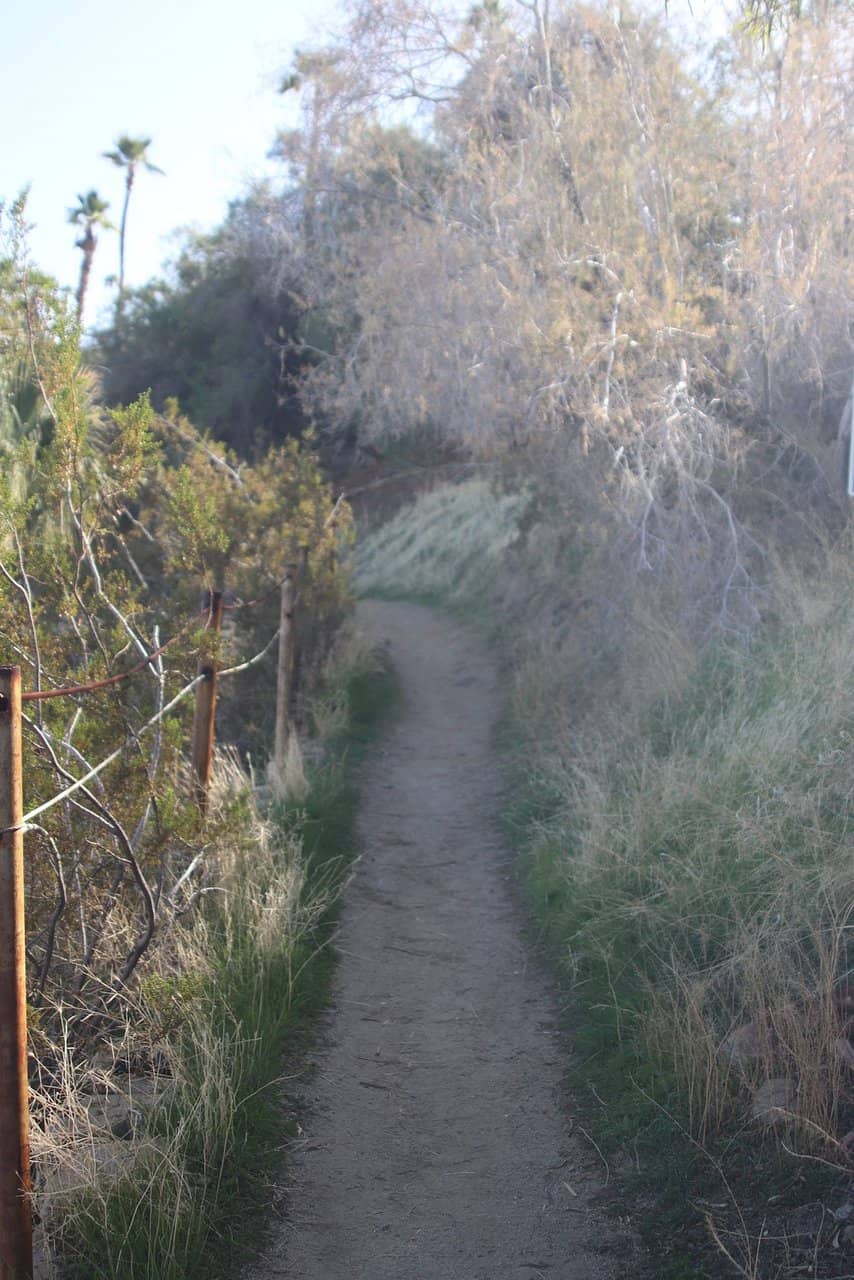 Panoramic Valley Vistas