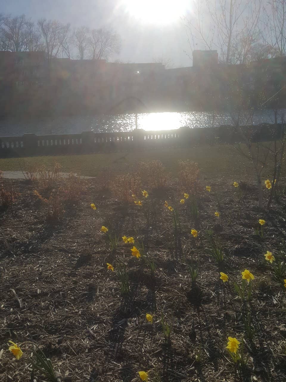 Interactive Splash Pad