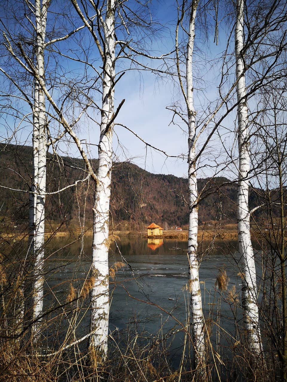 Vertical photo