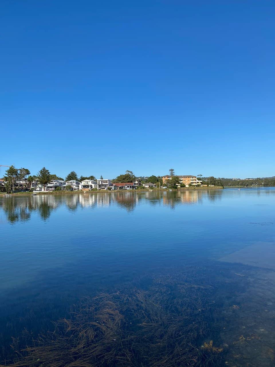 Lagoon Views