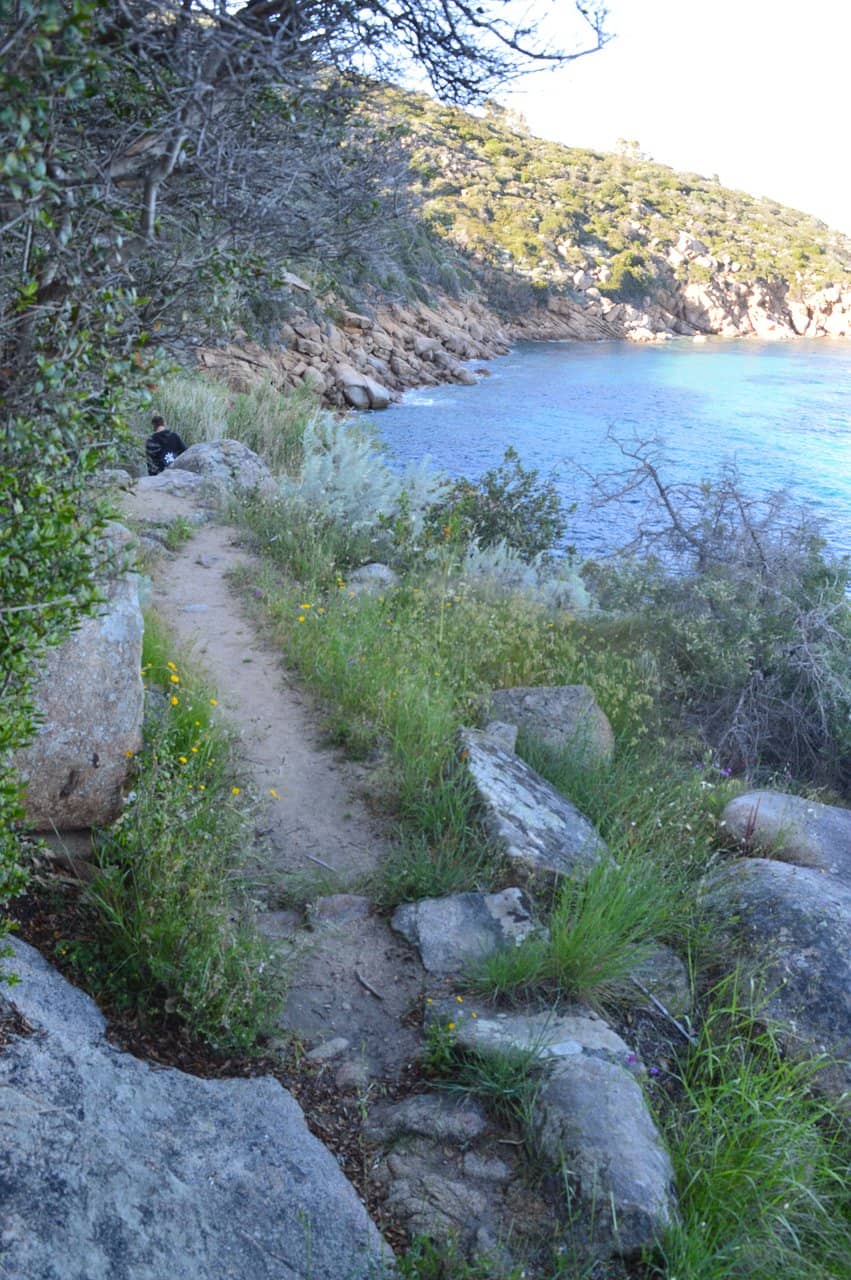 Scenic Hike to Paradise