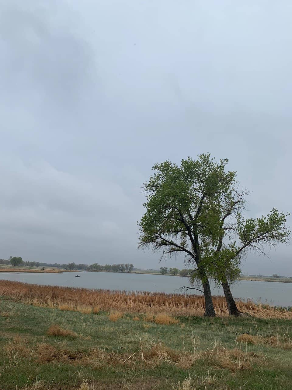 11-Mile Wildlife Drive