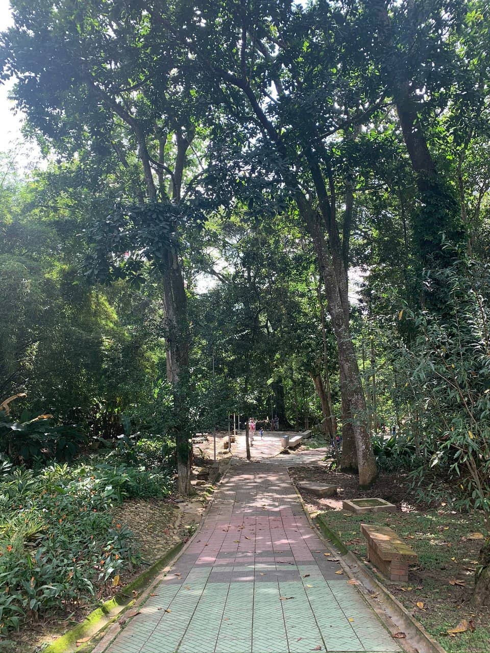 Birdwatching Haven