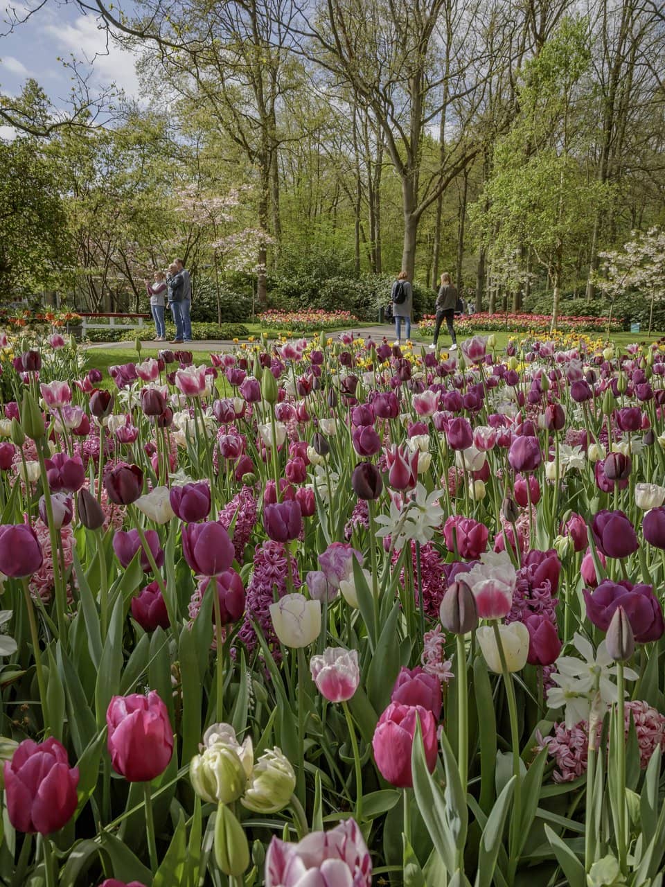 Themed Gardens