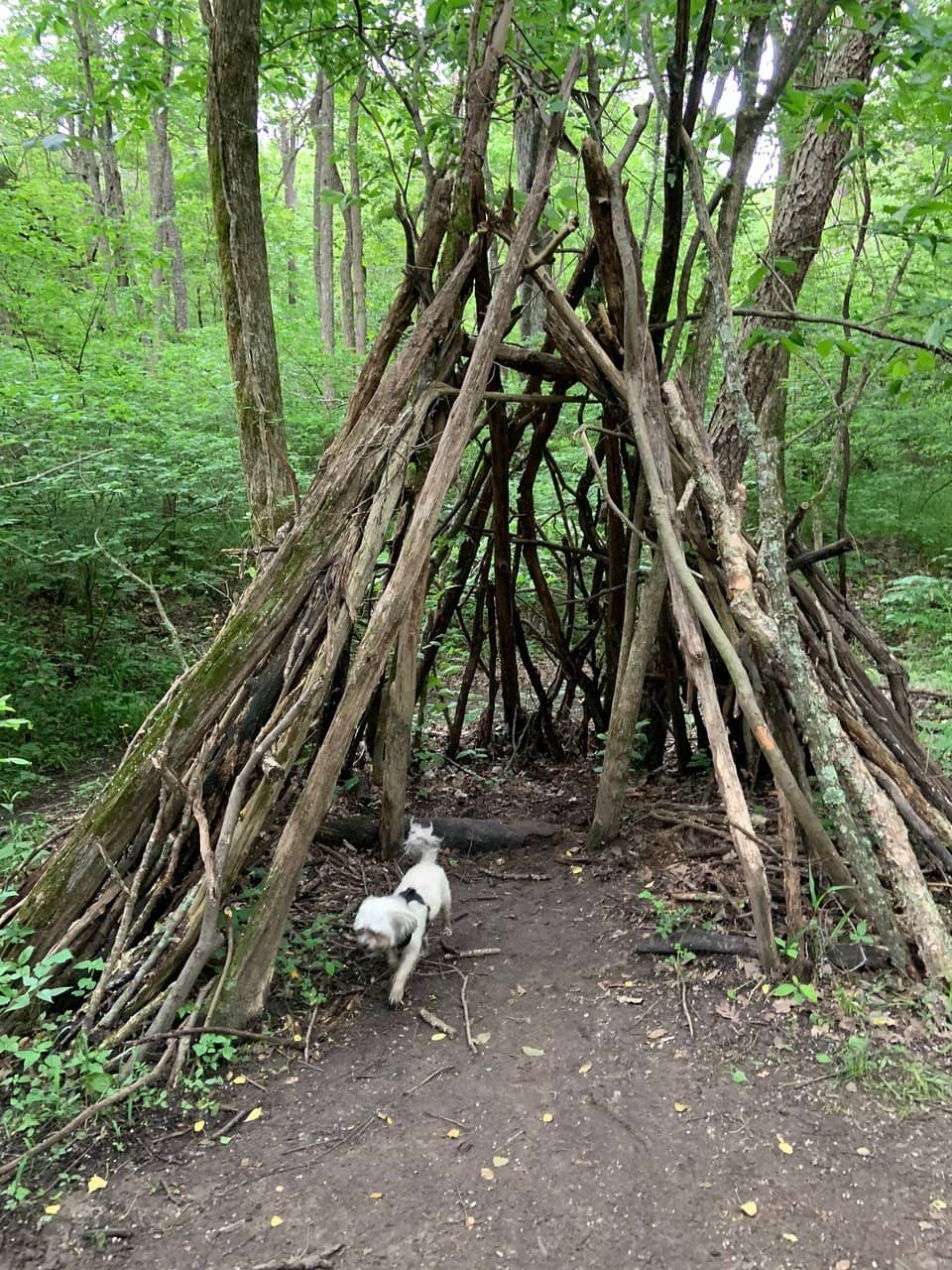 Rock Formations and Shelters