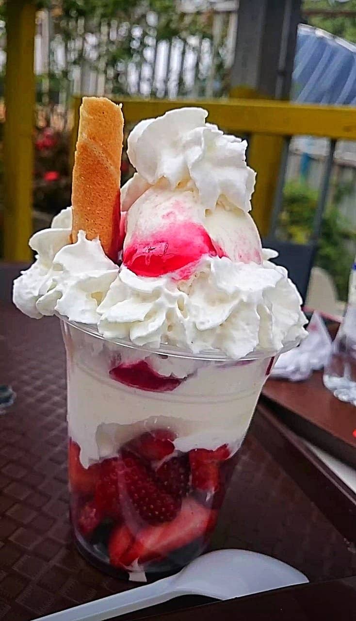 Vibrant Flower Gardens