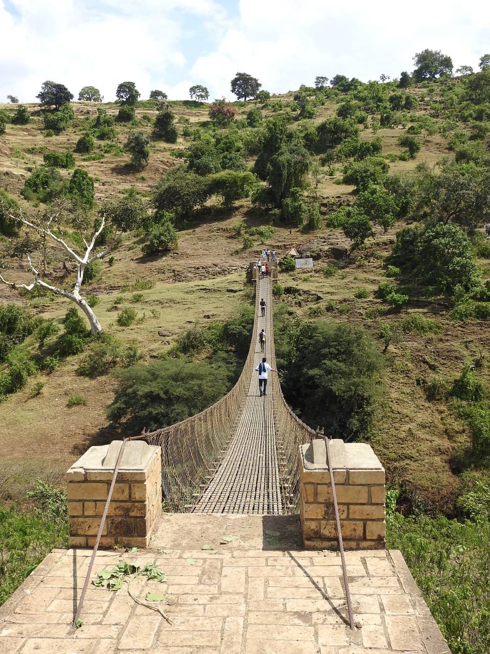 Vertical photo