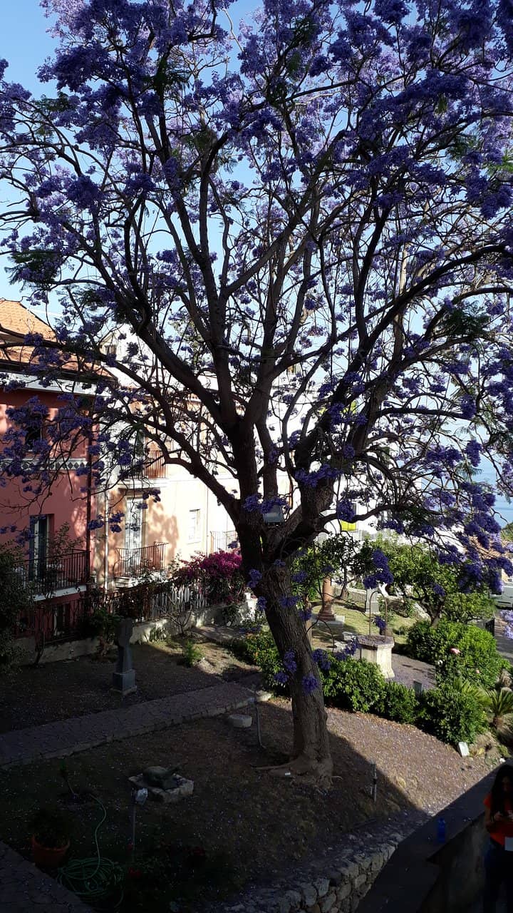 Scenic Gardens with Sea Views