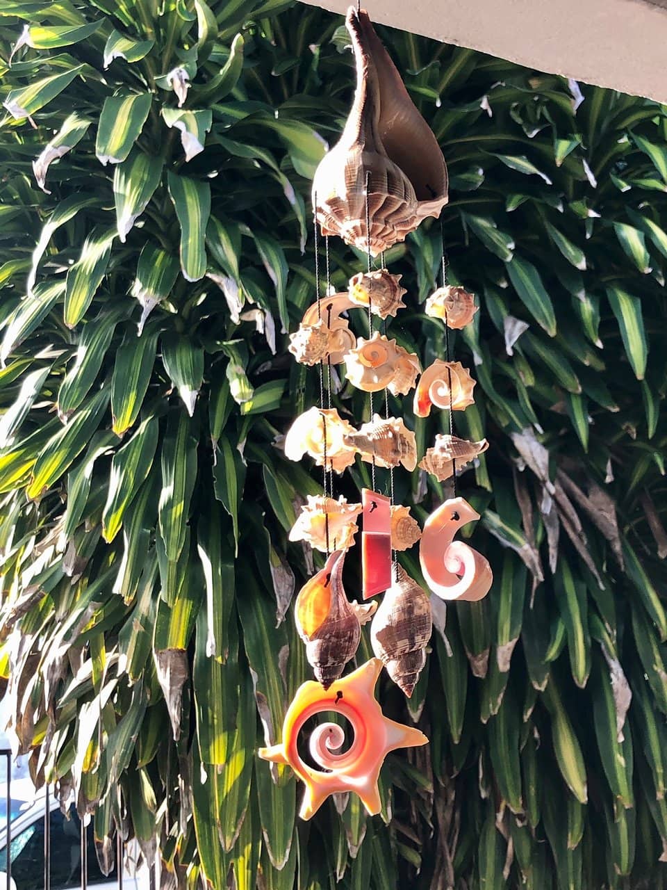 Vertical photo
