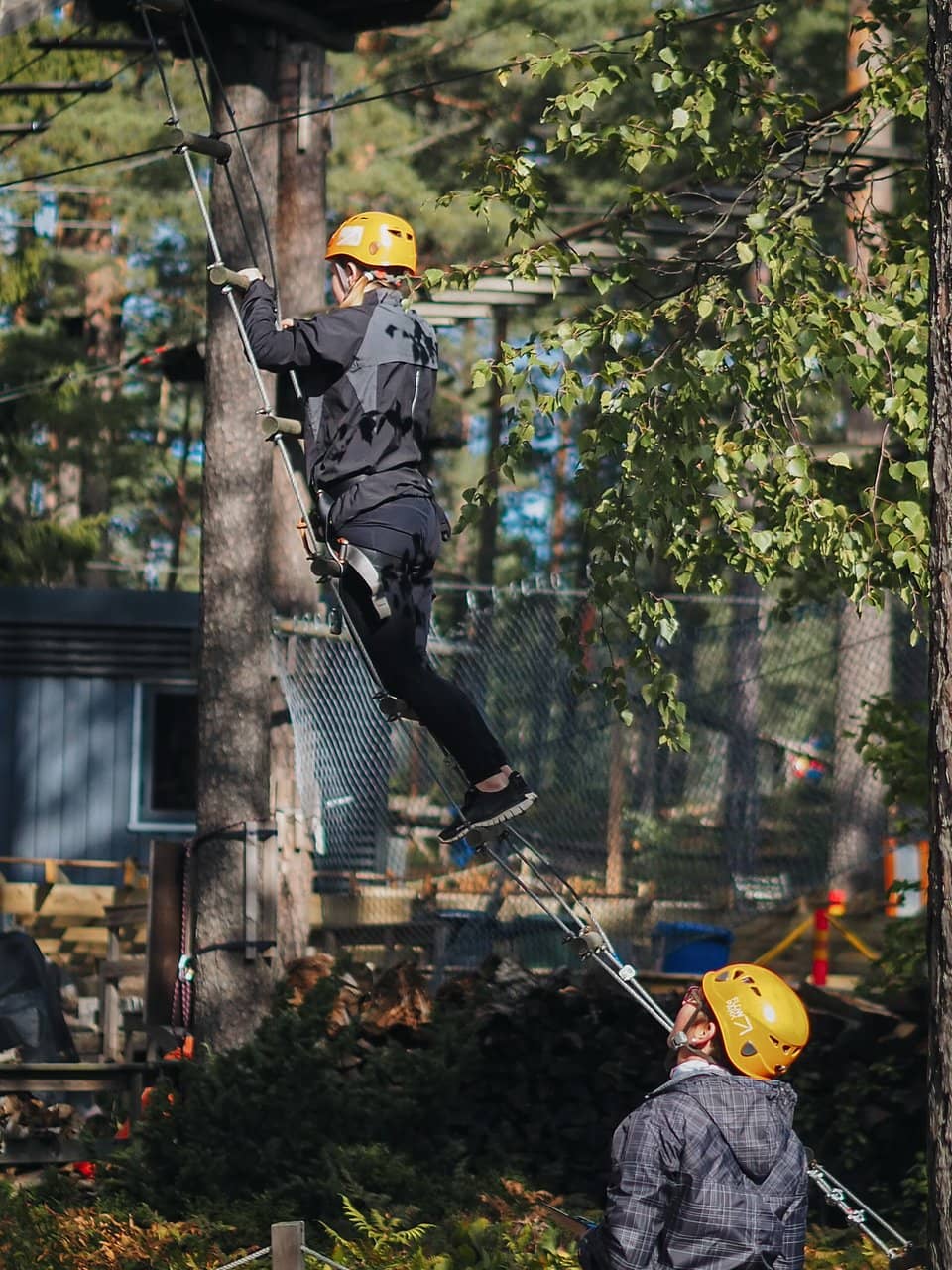 Vertical photo