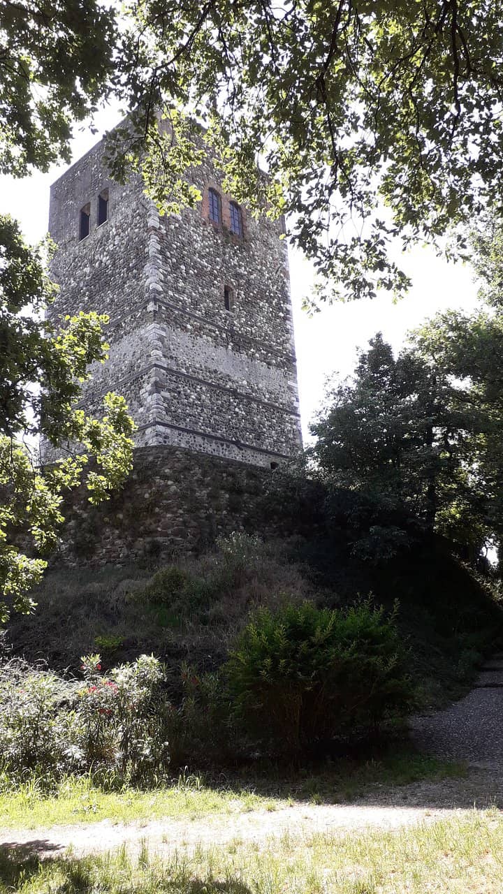 Vertical photo
