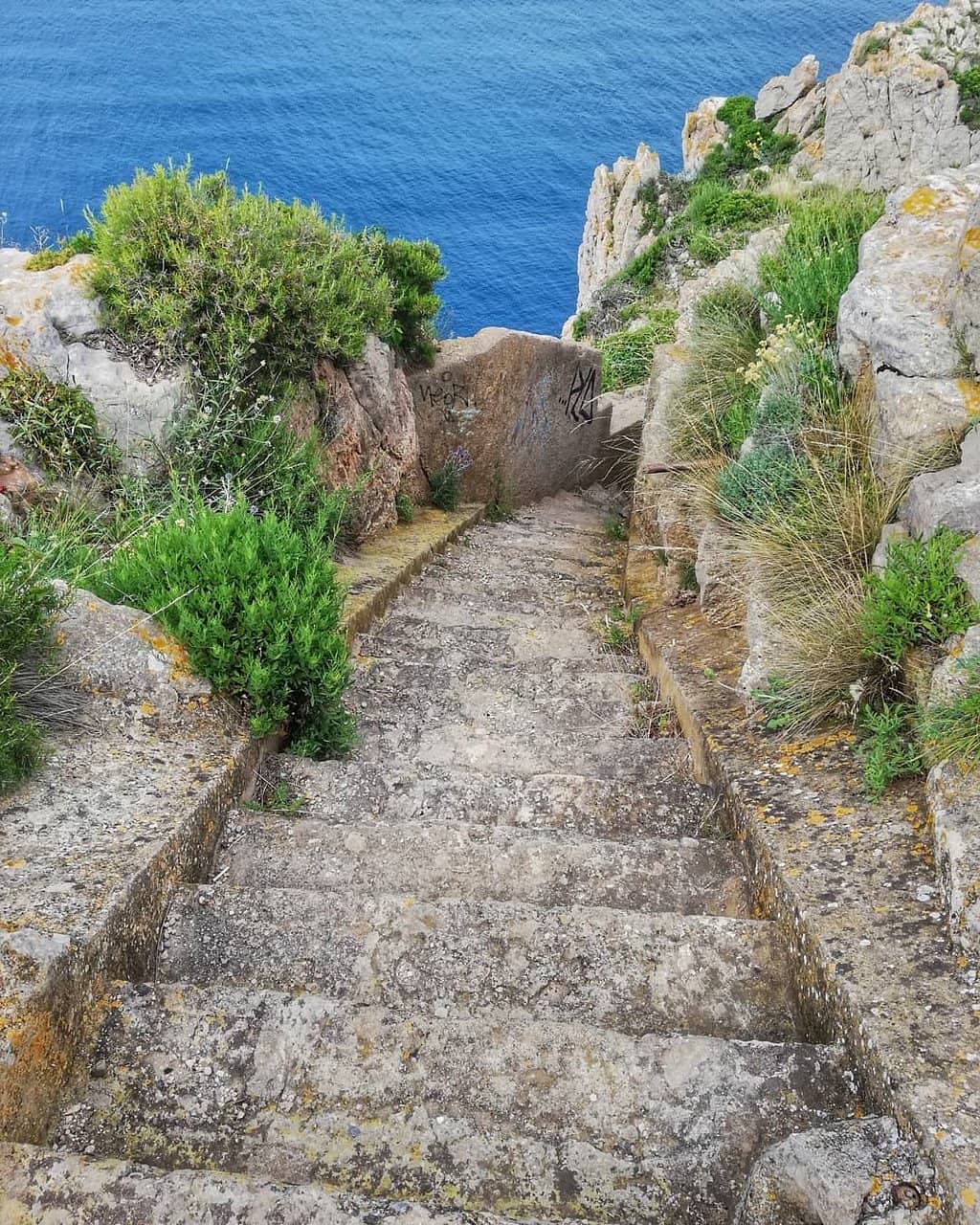 Cala Montgó