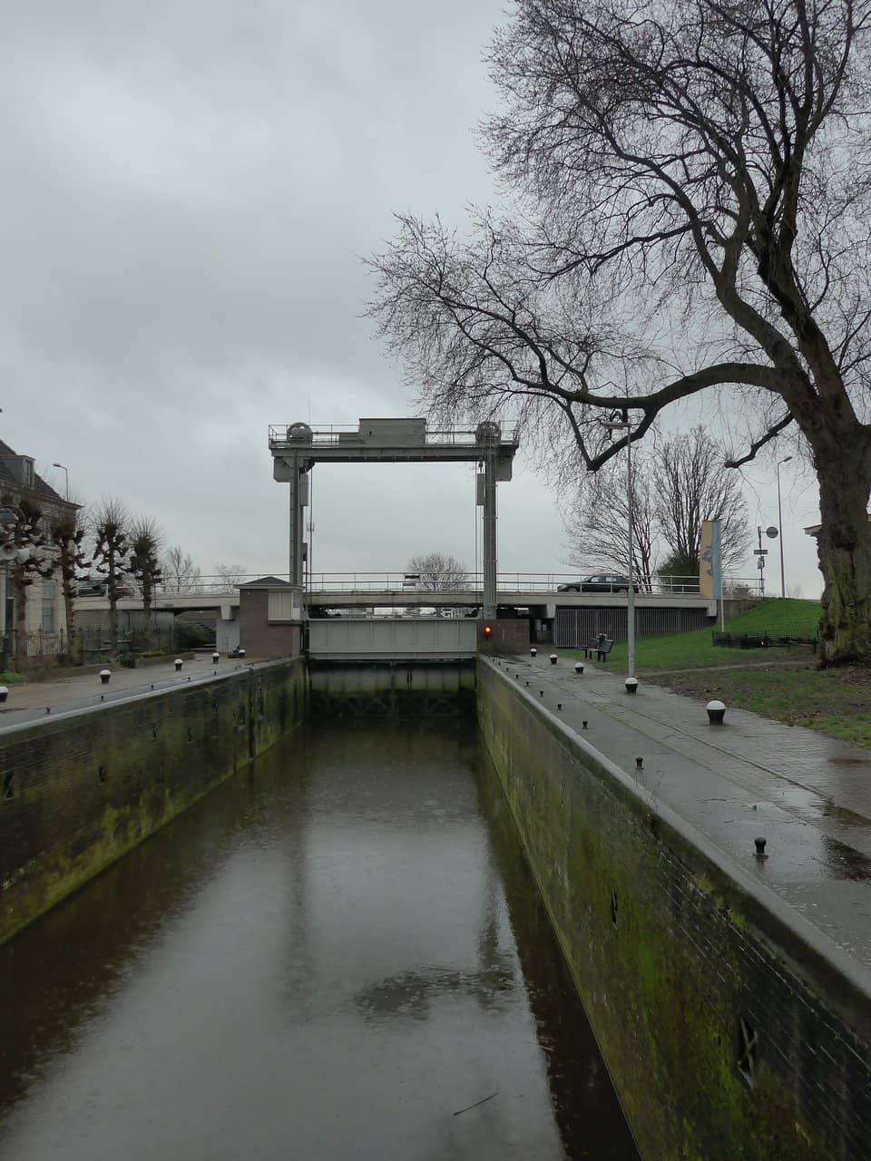 Vertical photo
