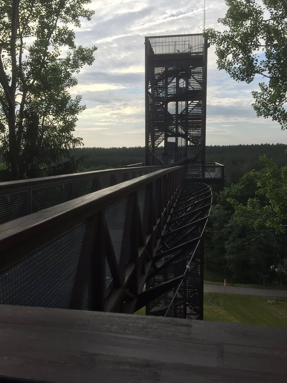 Adventure Forest Playground