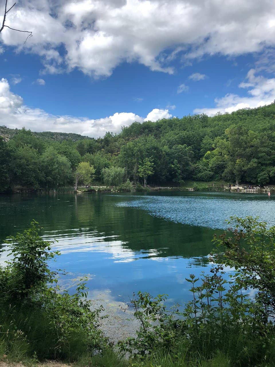 Family Picnic & Play