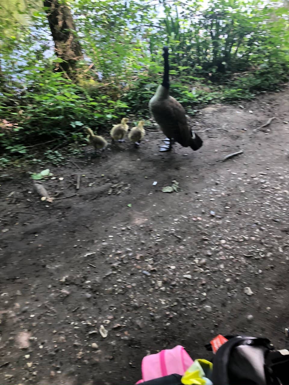 Students' Union (SU)