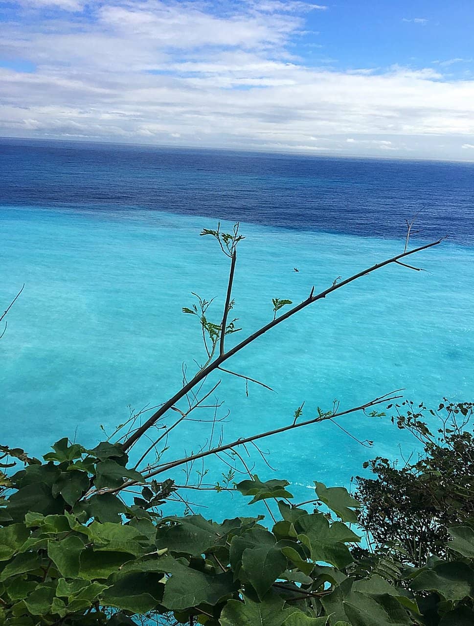 Dual-Colored Coastline