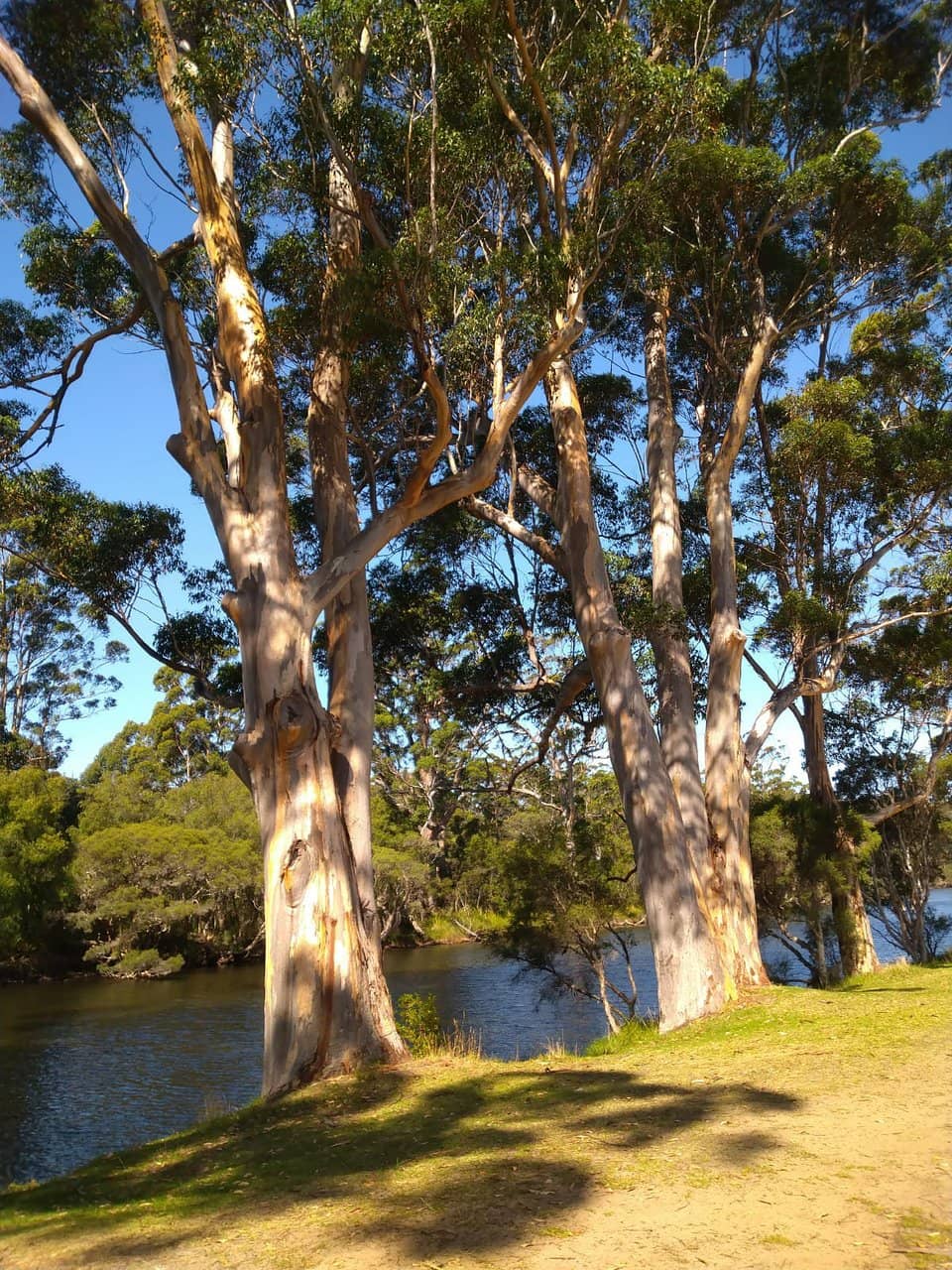 Estuary Fishing