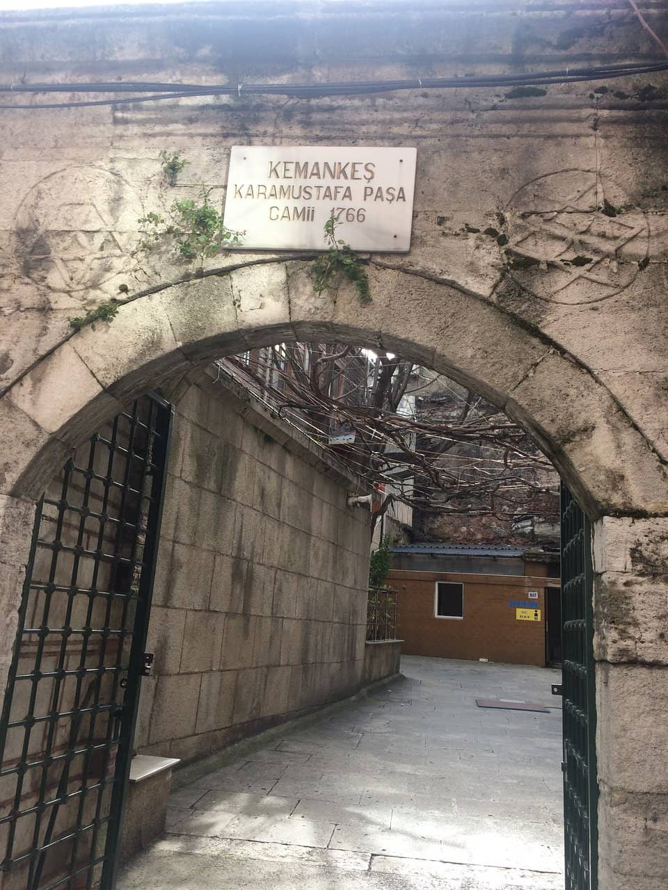 Vertical photo
