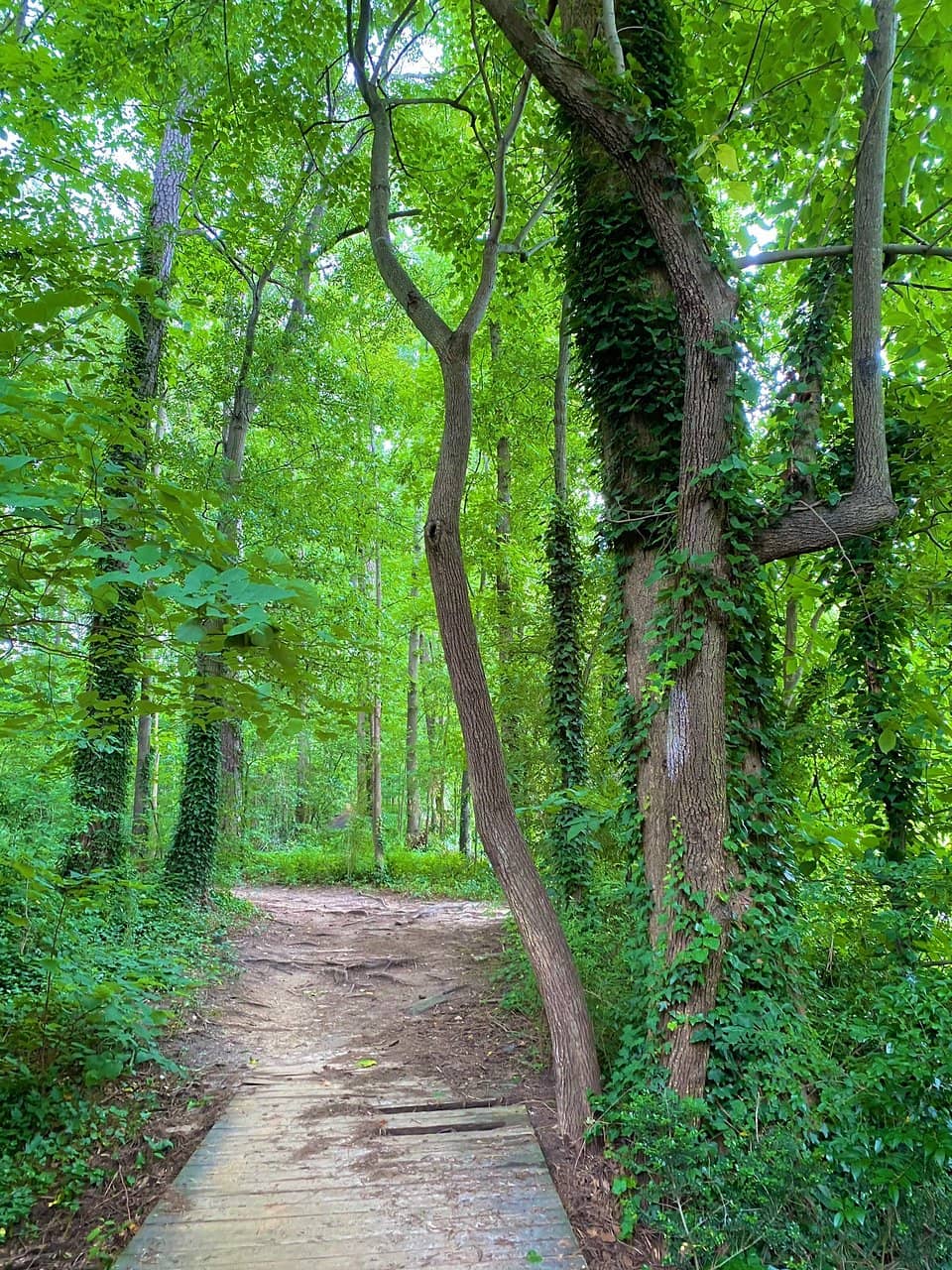 Vertical photo