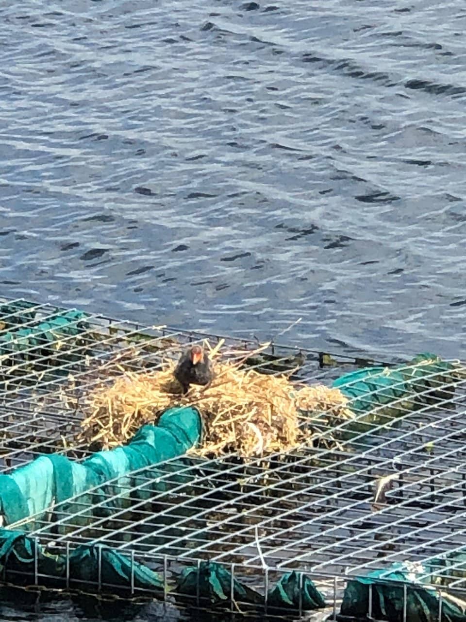 Reservoir Walking Trails