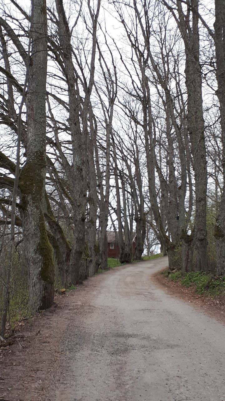 Scenic Nature Trail