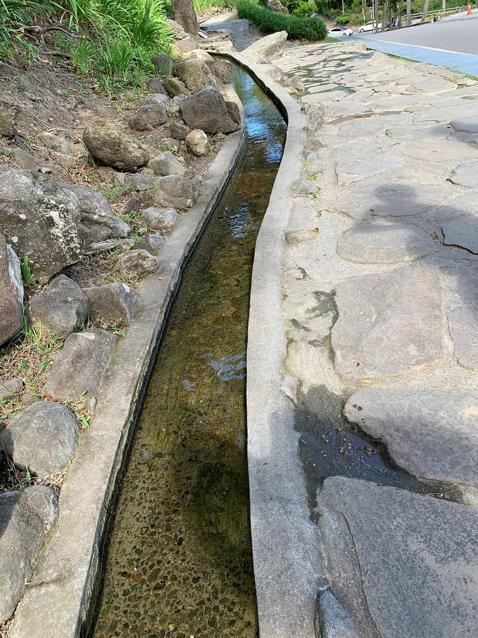 Leaf and Flower Test