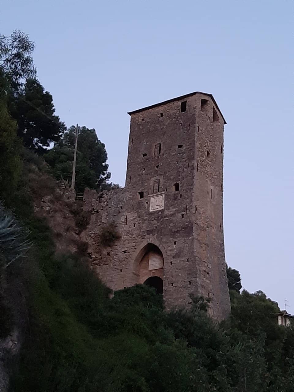 Vertical photo