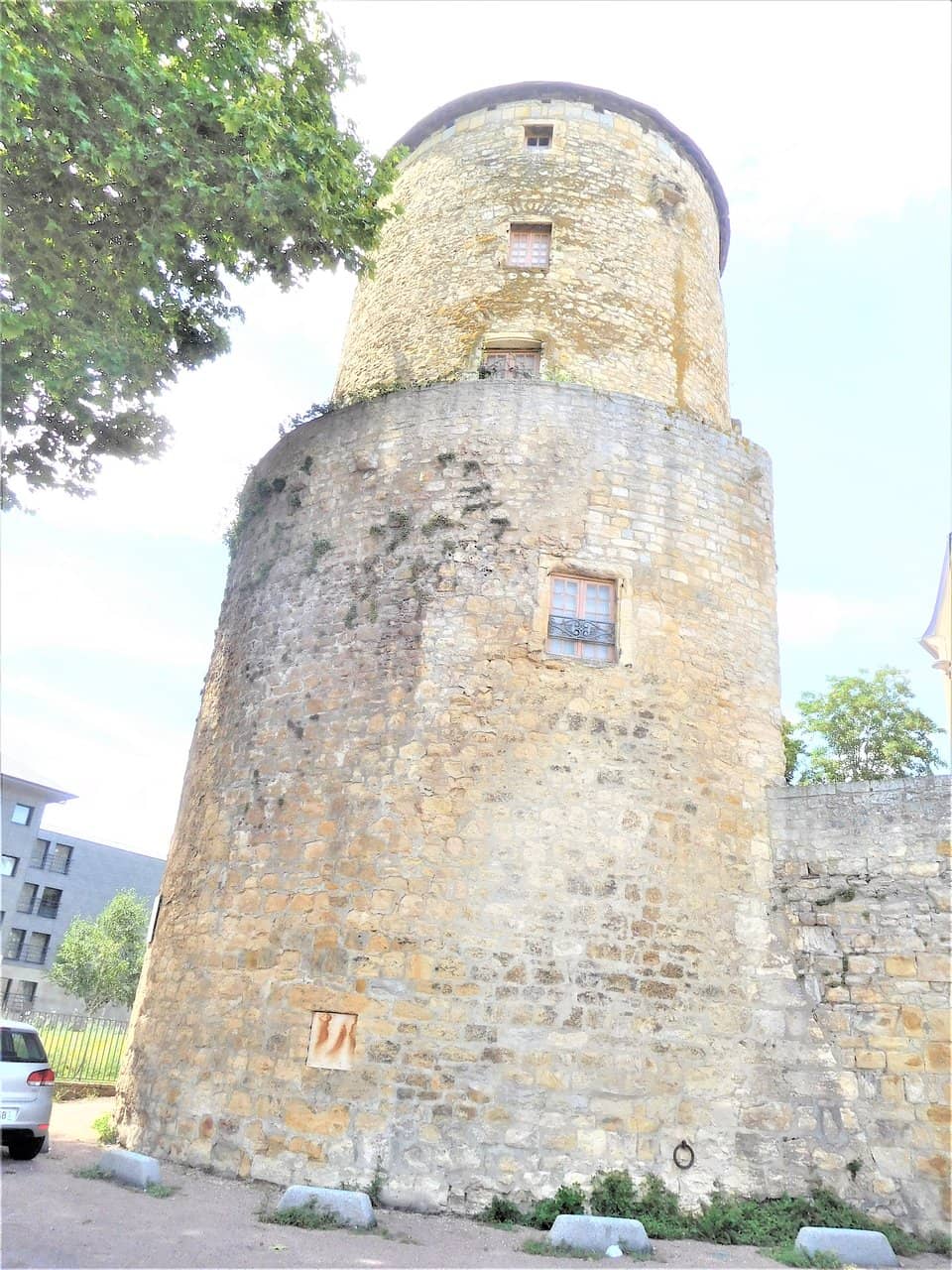 Vertical photo