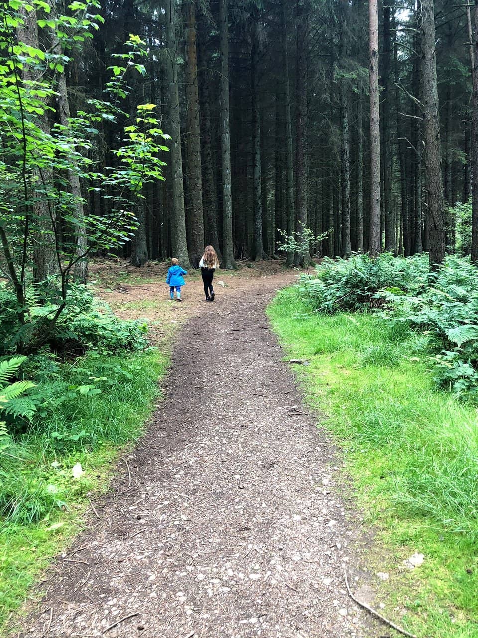 Mature Woodland Trails