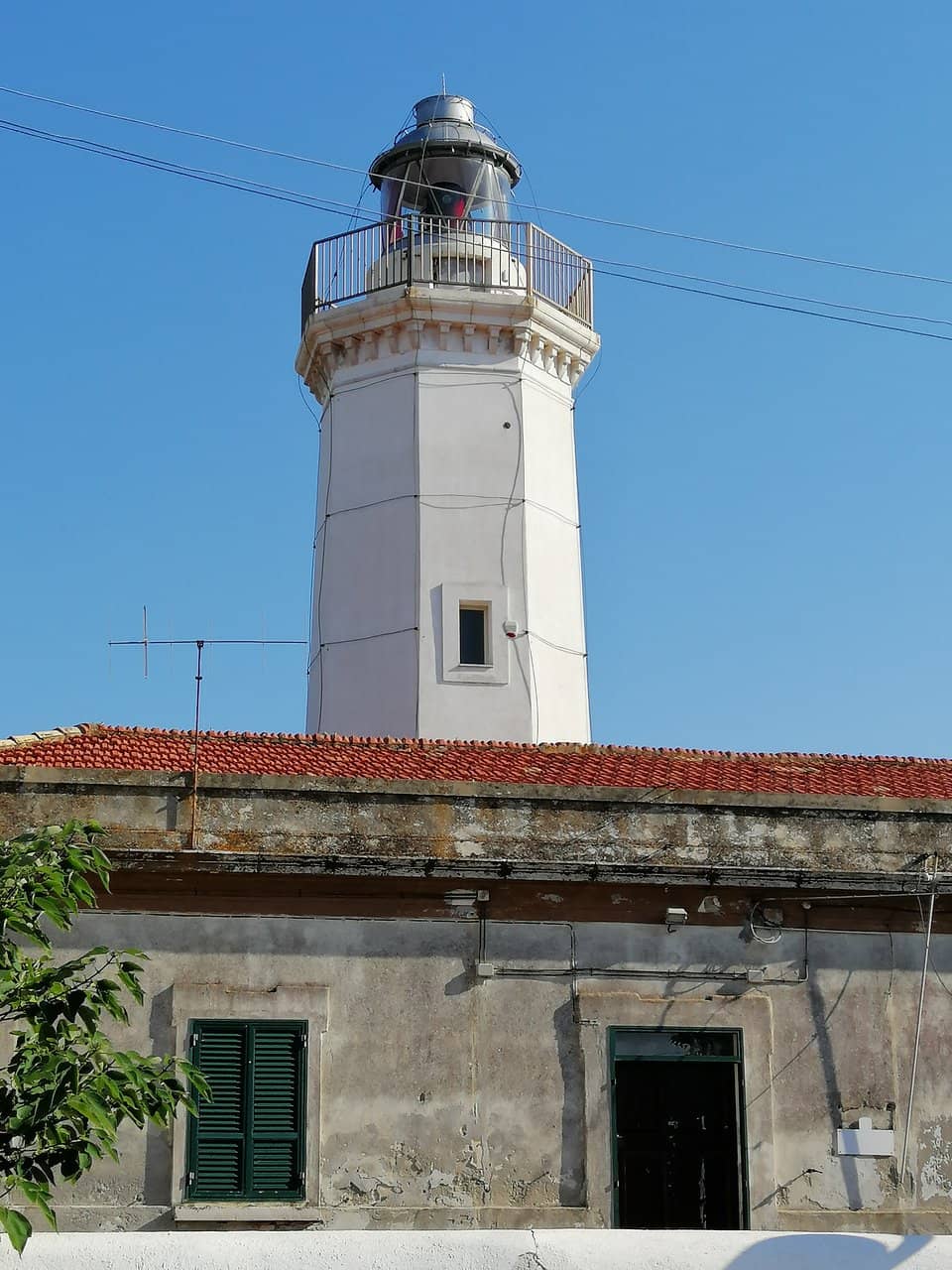 Vertical photo