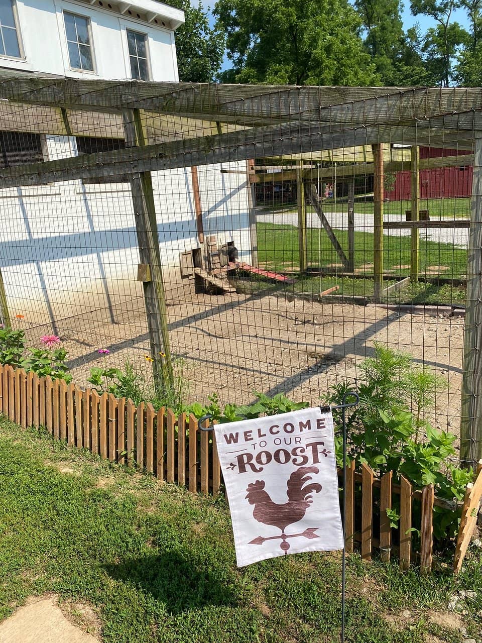 Animal Encounters