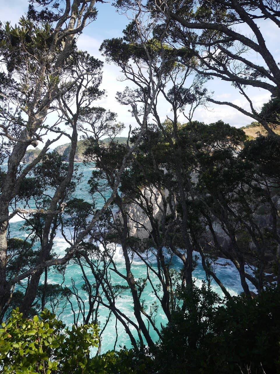 Island Outlook