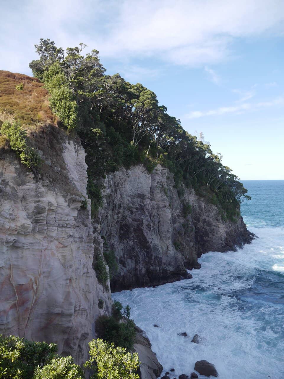 Scenic Hillside Trail