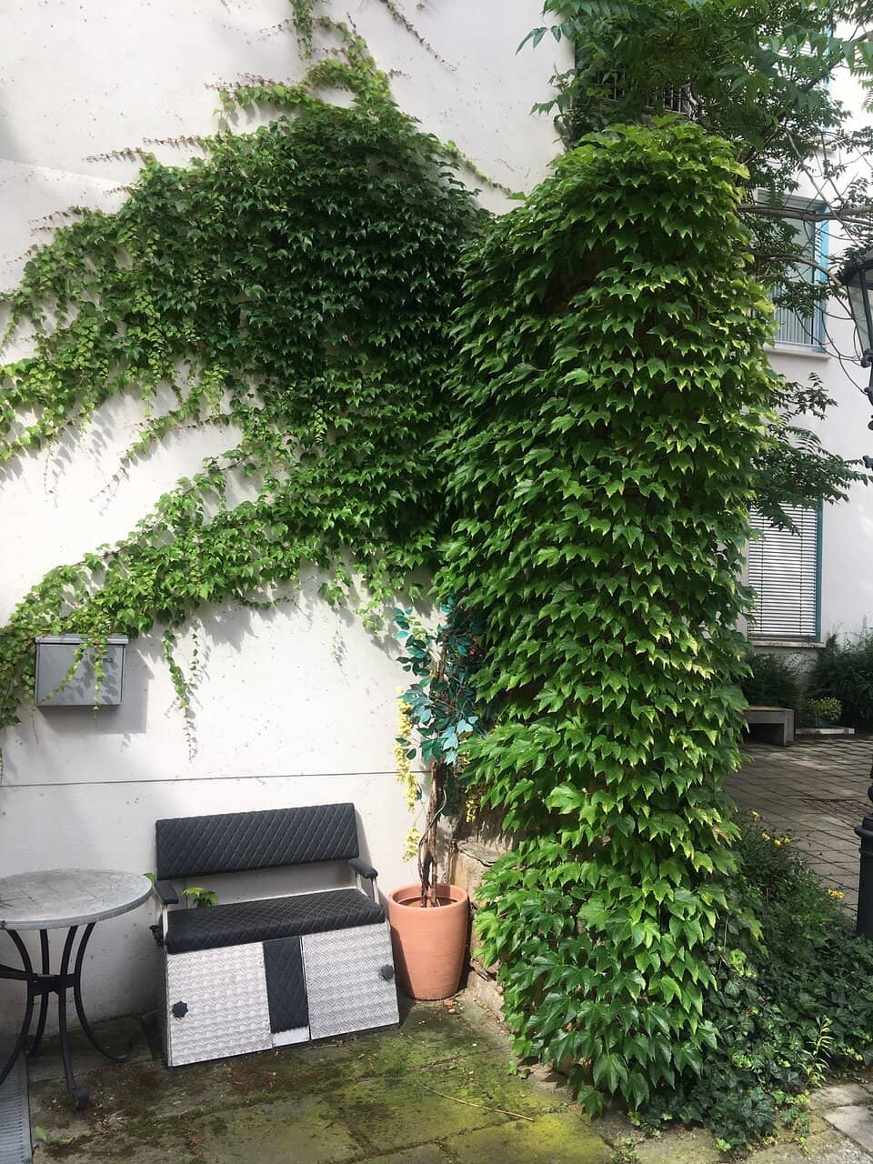 Vertical photo