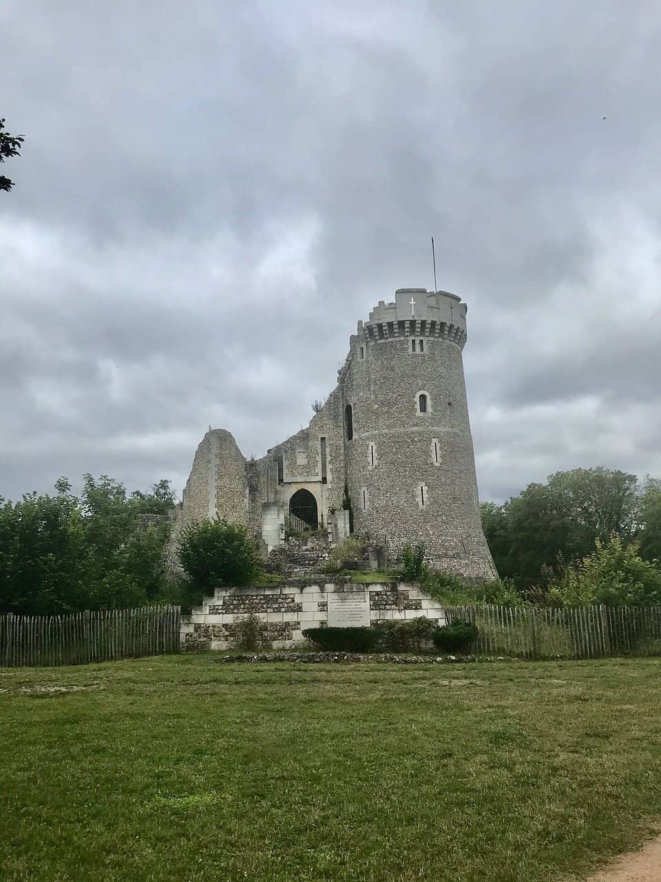Enchanting Forest Surroundings
