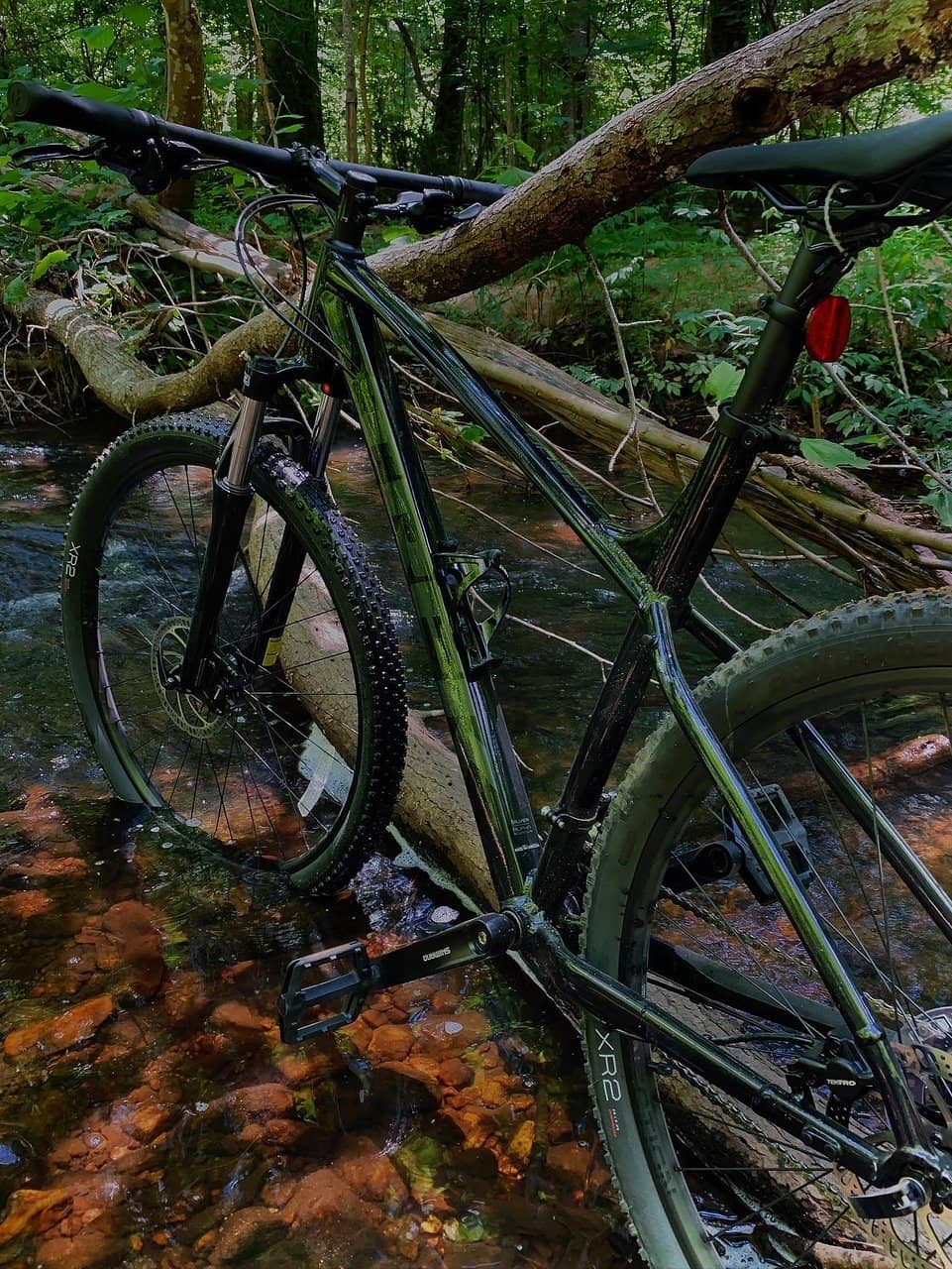 Flowy Descent Trails