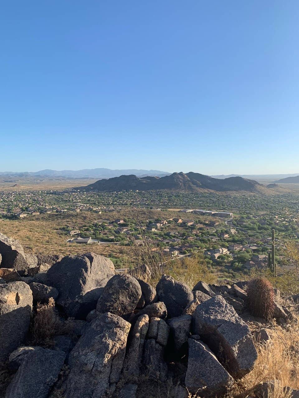 Mountain Bike Switch-back Trail