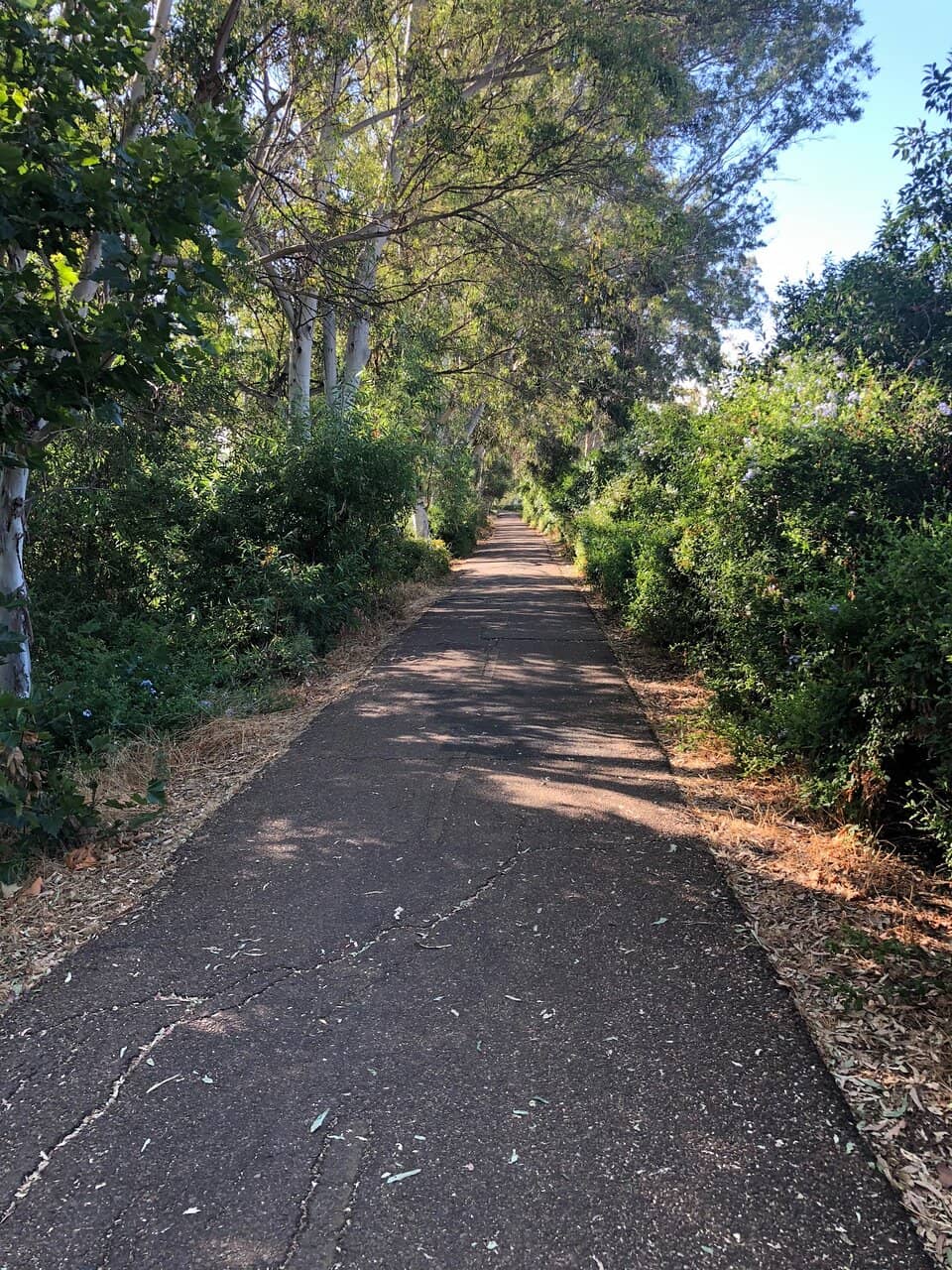 Disc Golf Course