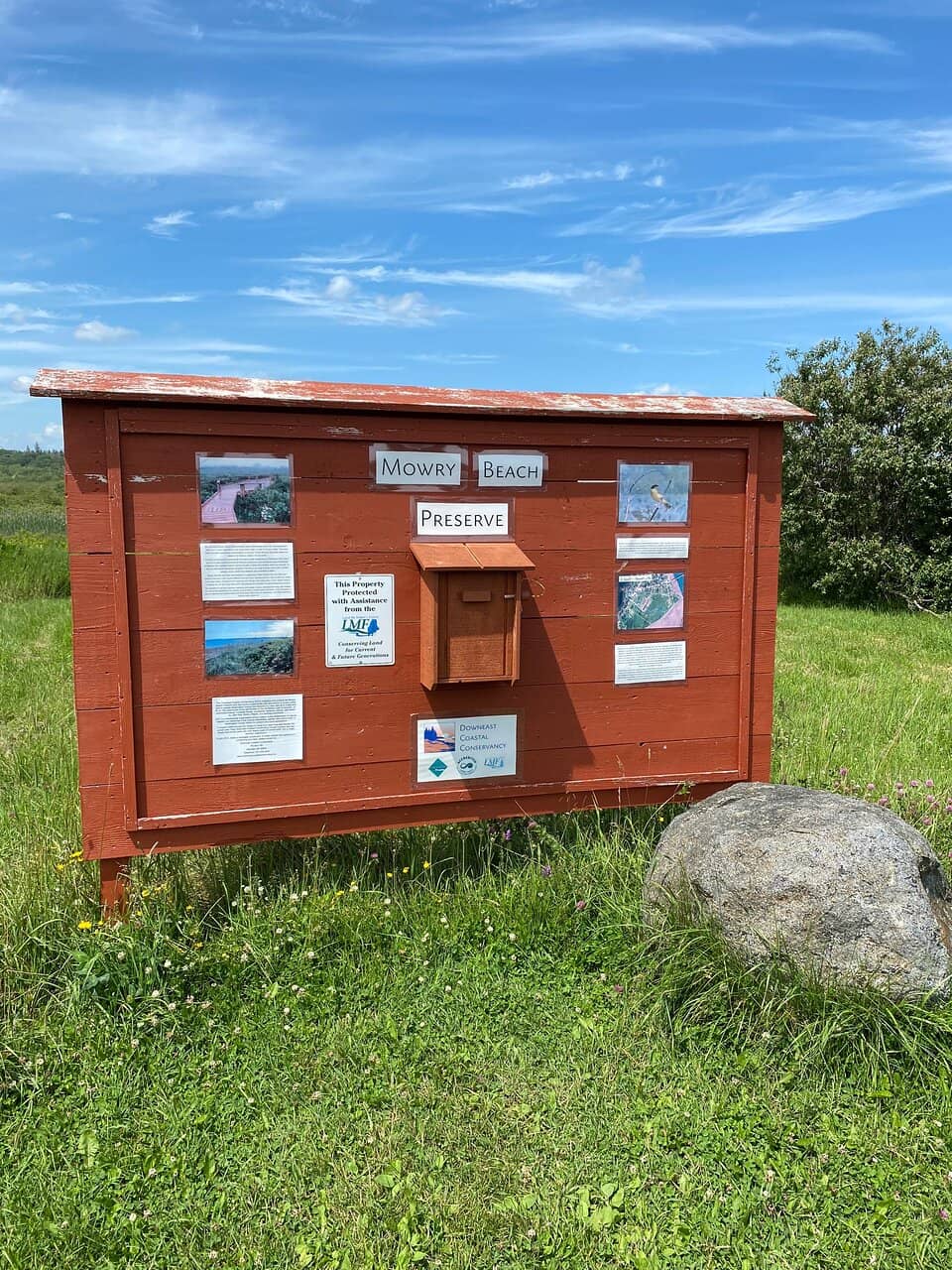 Beachcombing Treasures